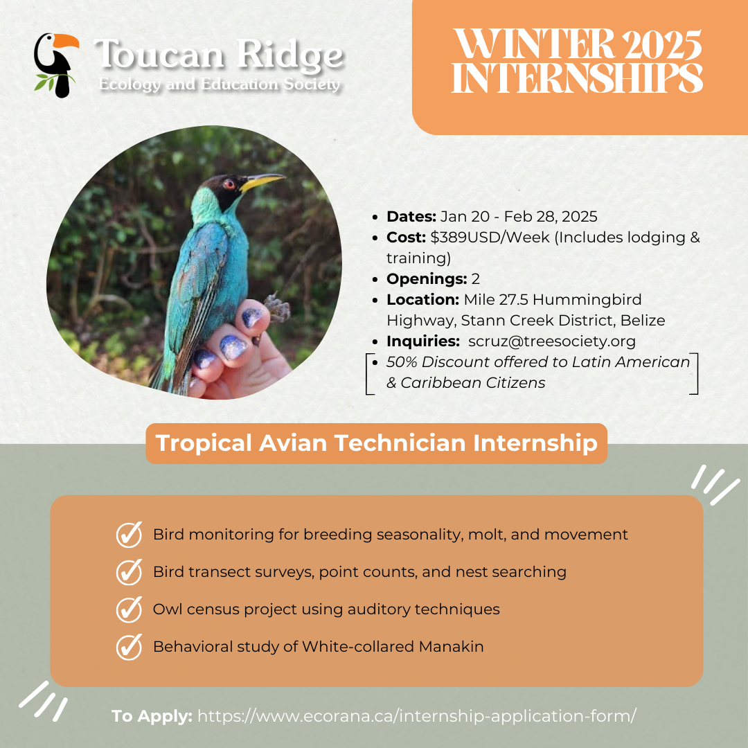 Tropical Avian Technician