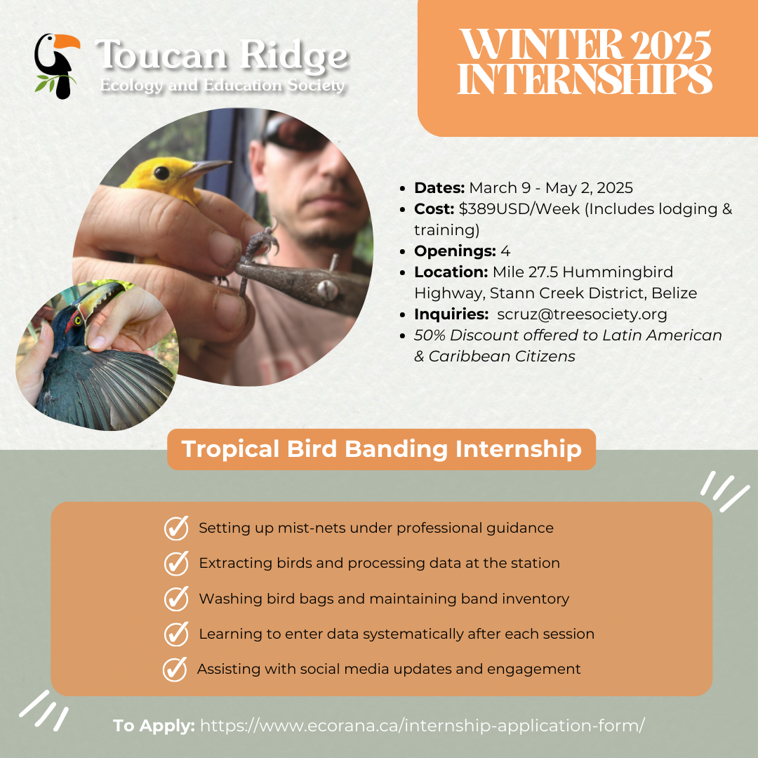 Tropical Bird Banding